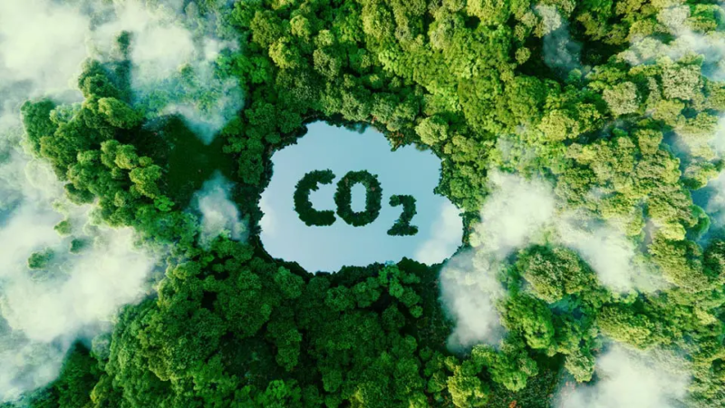Créditos de Carbono: Quanto Valem e Como Funcionam na Prática